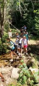 Деца на поляната в планината